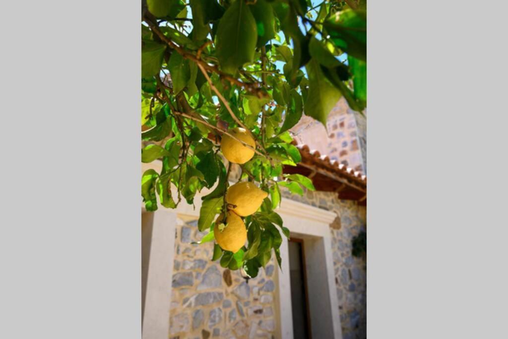 Marigoula House Villa Pombia Exterior foto